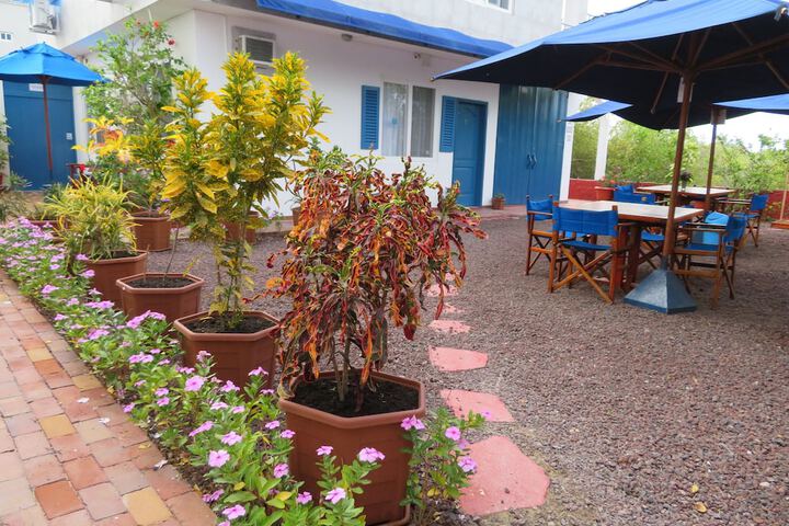 Terrace/Patio 32 of 76
