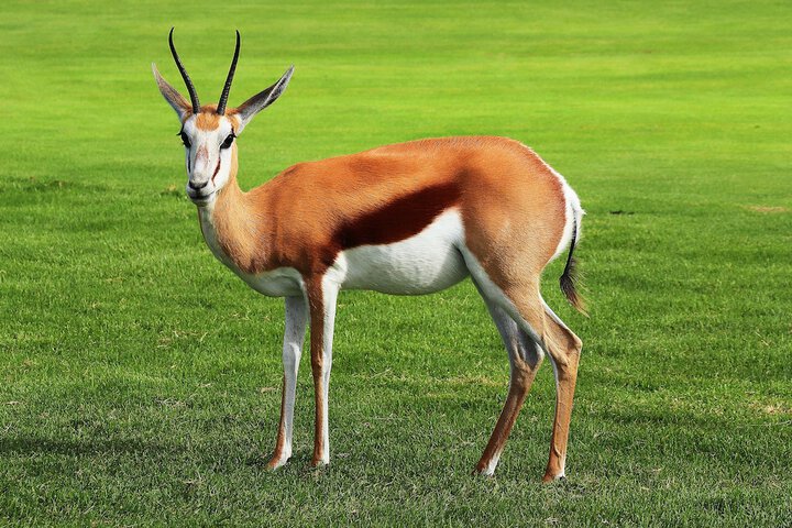 Property Grounds 18 of 29