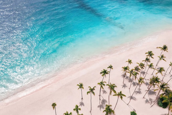 Hyatt Vivid Punta Cana - All Inclusive - Adults Only in Punta Cana