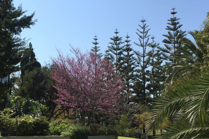 Property Grounds 24 of 35