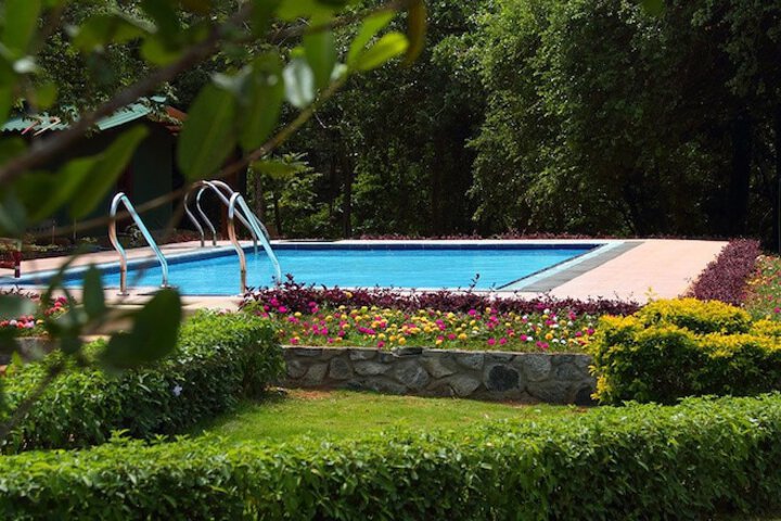 Pool to Cool