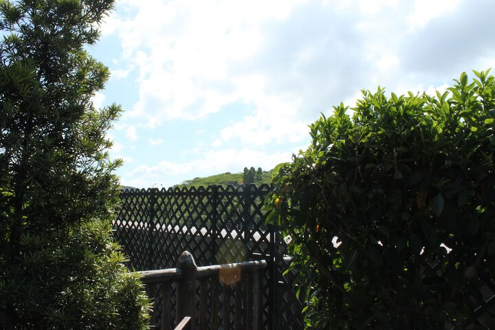 Terrace/Patio 13 of 45