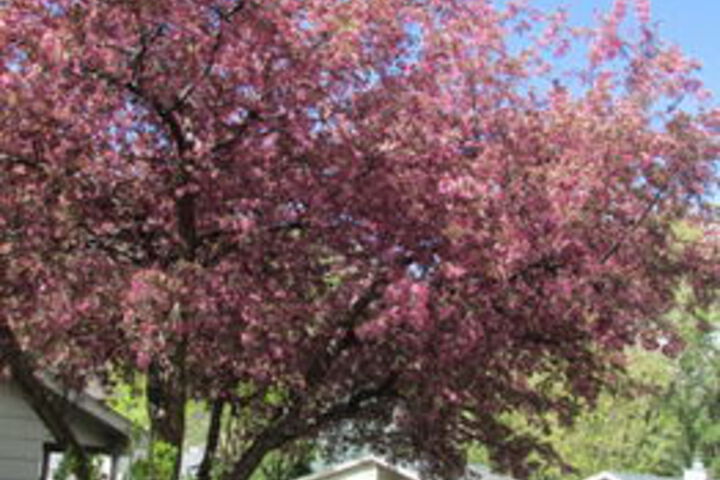 Property Grounds 20 of 21