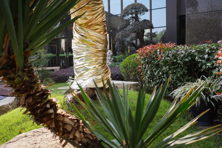 Hotel Exterior 46 of 50