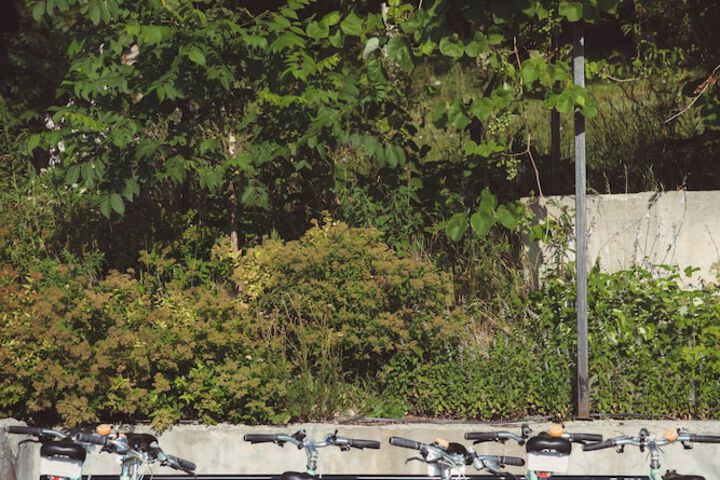 Outdoor Activities 28 of 37