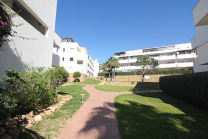 Property Grounds 19 of 29