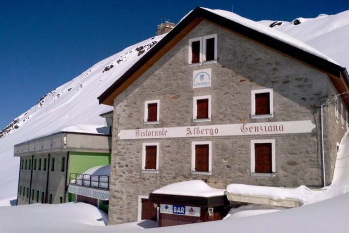 Genziana in Bormio