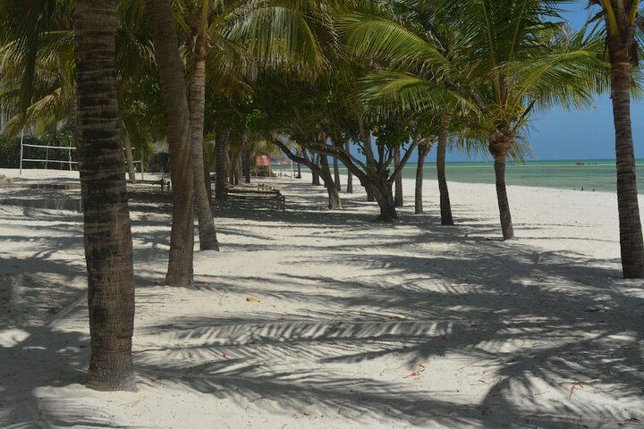 Beach 28 of 39