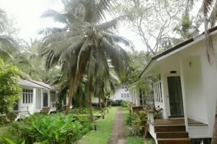 Photo 21