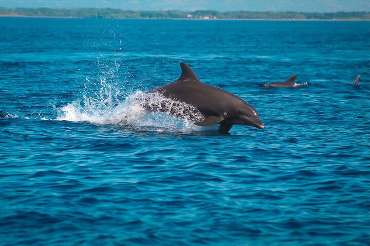 Water Sports 52 of 69