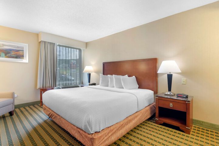 1 King Bed Microwave and Refrigerator High Speed Internet Accessible Full Breakfast (10 of 12)