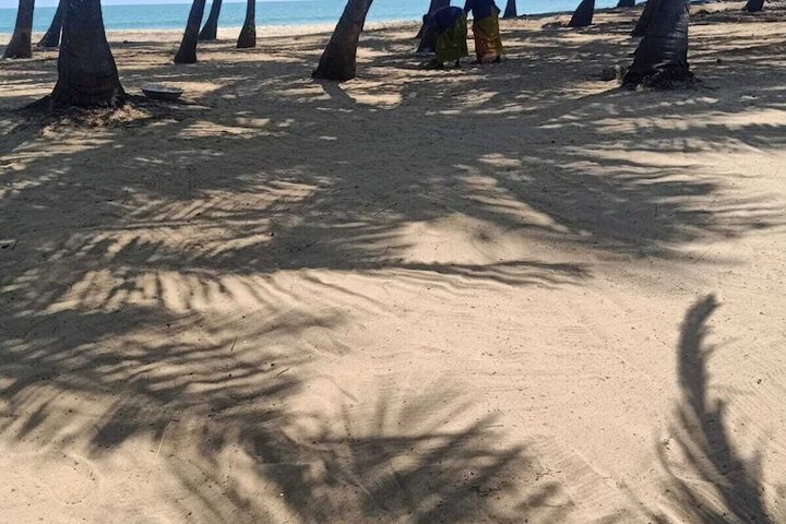 Beach 151 of 195