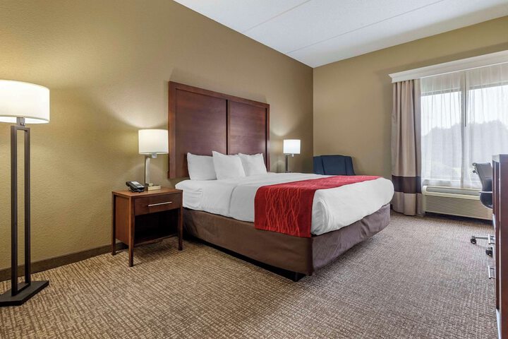 Standard King Bed Accessible (3 of 14)