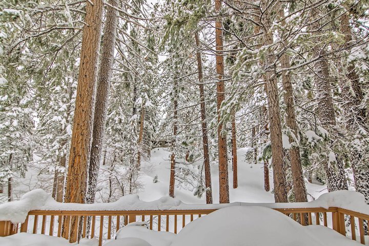 Property Grounds 26 of 28