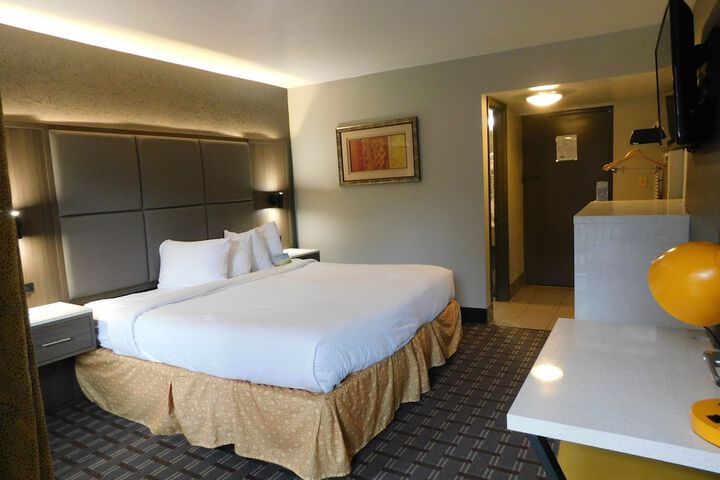 Standard | King Bed (2 of 64)
