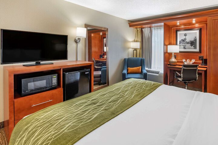 Queen Bed Accessible (9 of 10)