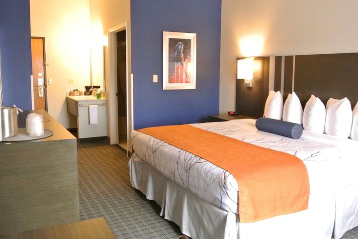 1 King Bed Accessible (6 of 14)