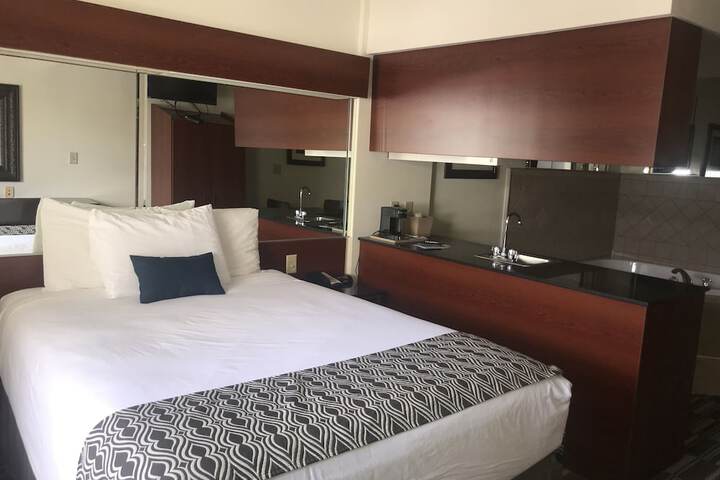 1 Queen Bed Accessible Room (48 of 54)