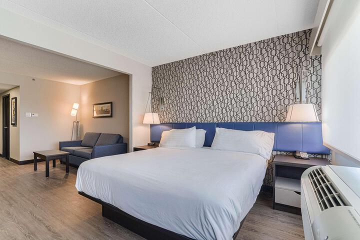 Suite 1 King Bed Sofa Bed Kitchenette Microwave and Refrigerator Keurig Coffee Maker Walk in Shower Full Breakfast (17 of 20)