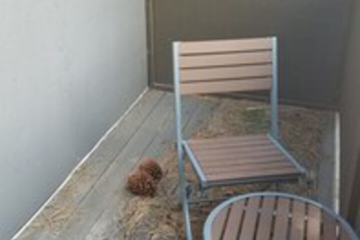 Terrace/Patio 370 of 828