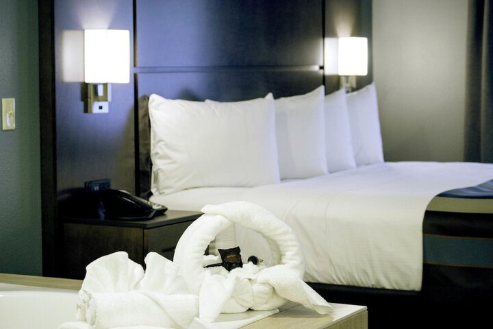 Premium King Bed (12 of 18)