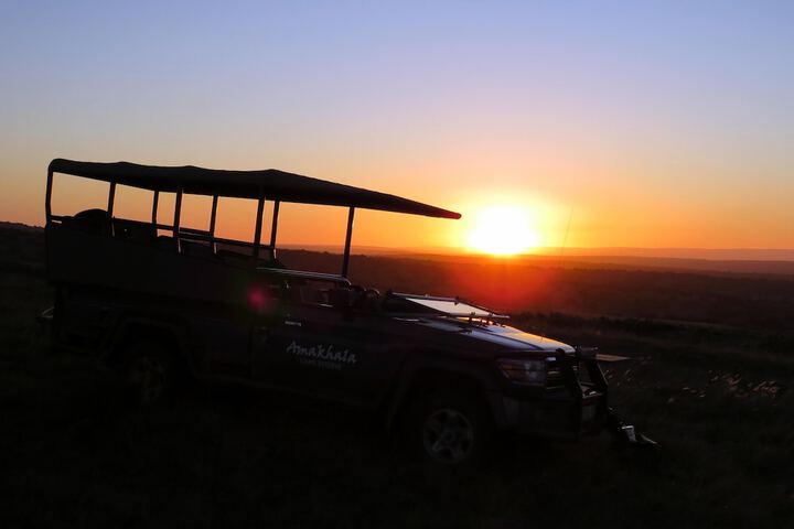 Safari