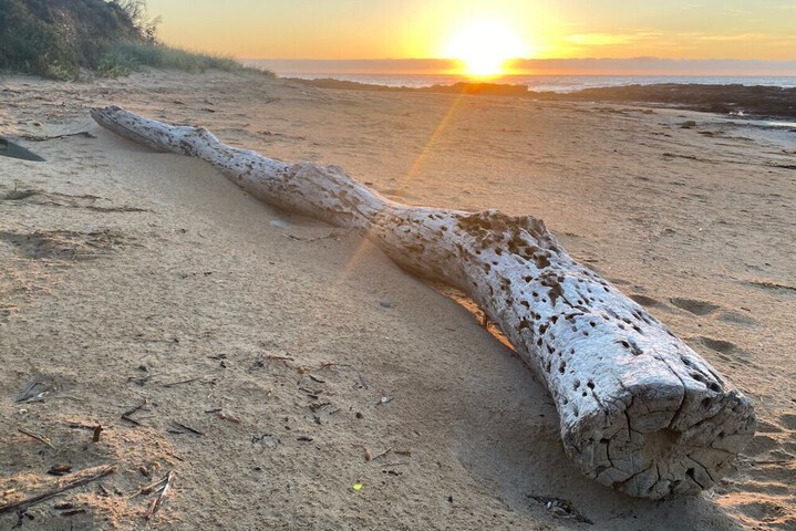 Beach 104 of 128