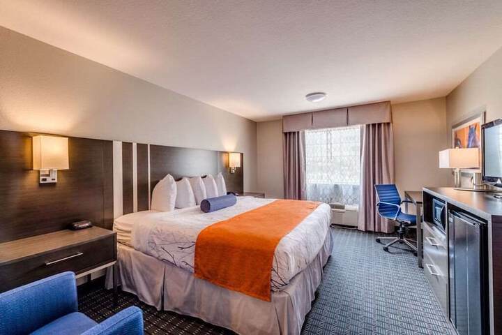 1 King Bed Accessible (2 of 14)