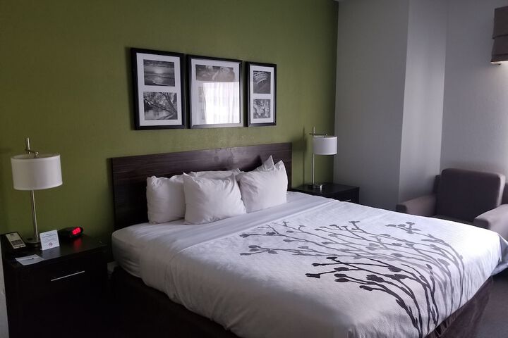 1 King Bed Pet Friendly (2 of 7)
