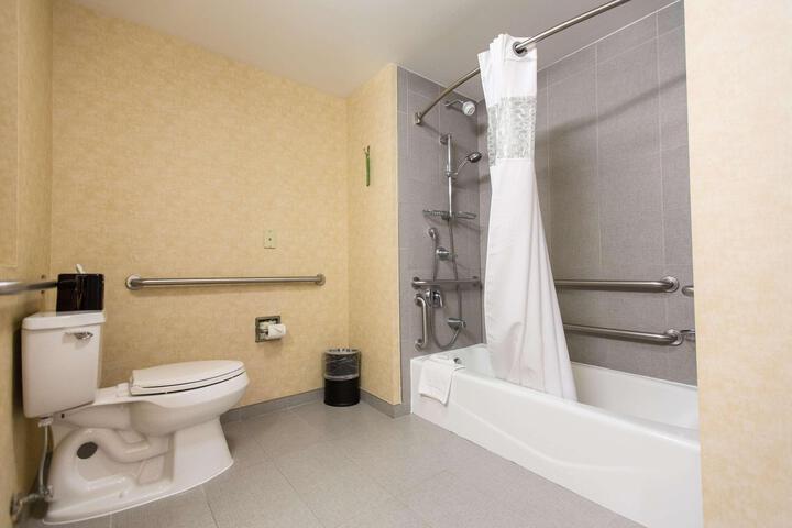 1 King Hearing Accessible Studio with Sofa Bed (3 of 19)