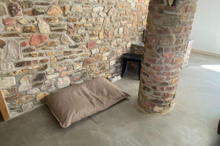 Room 6 of 31