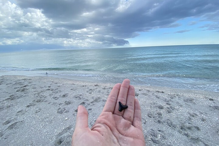 Beach 80 of 115