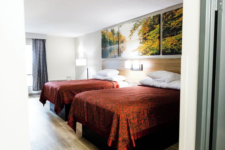 1 Double Bed Modern Room (3 of 28)