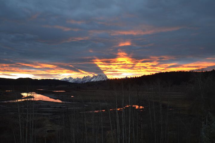 Property Grounds 81 of 110