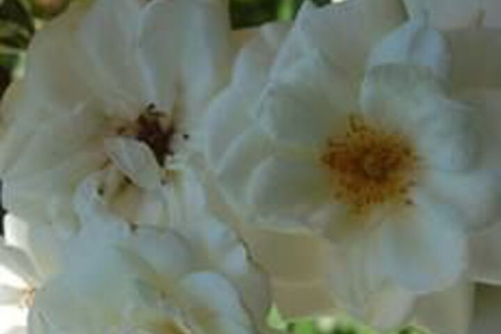 Hotel Exterior 22 of 46