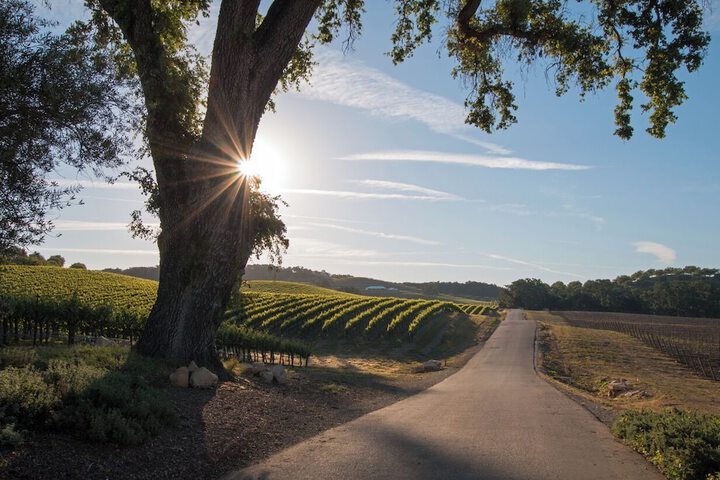 Winery