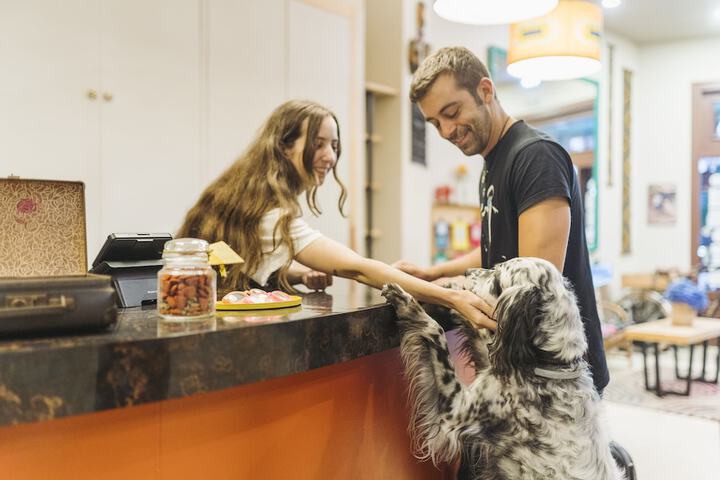 Pet Friendly 82 of 99