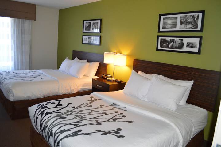 2 Queen Beds (1 of 17)