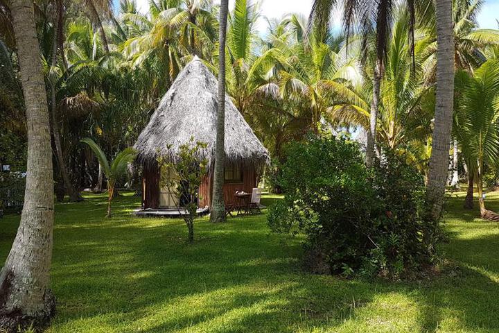 General 6 of 63