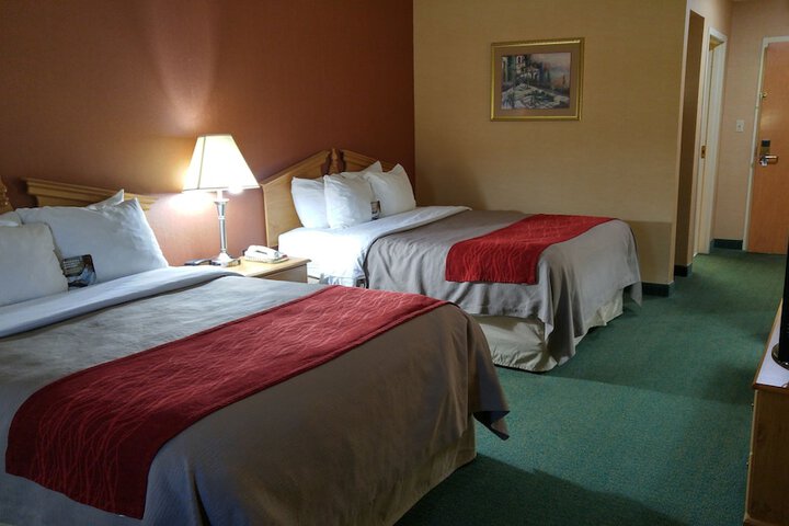 2 Queen Beds (3 of 10)