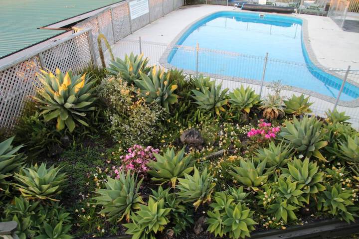 Pool 36 of 45