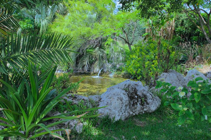 Property Grounds 31 of 42