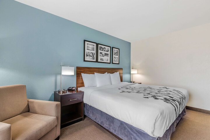 1 King Bed Mobility Accessible (16 of 29)