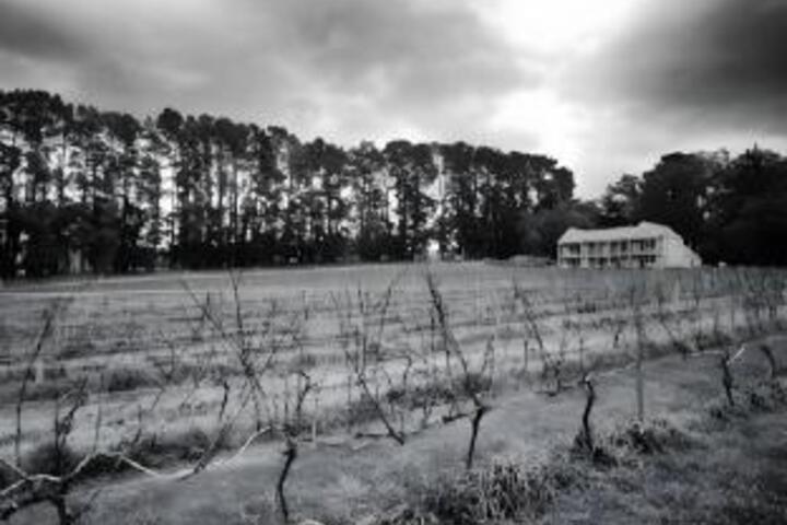Mantons Creek Estate & Lodge