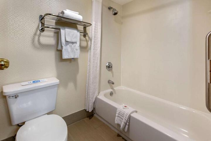 Standard Room, King or Two Doubles