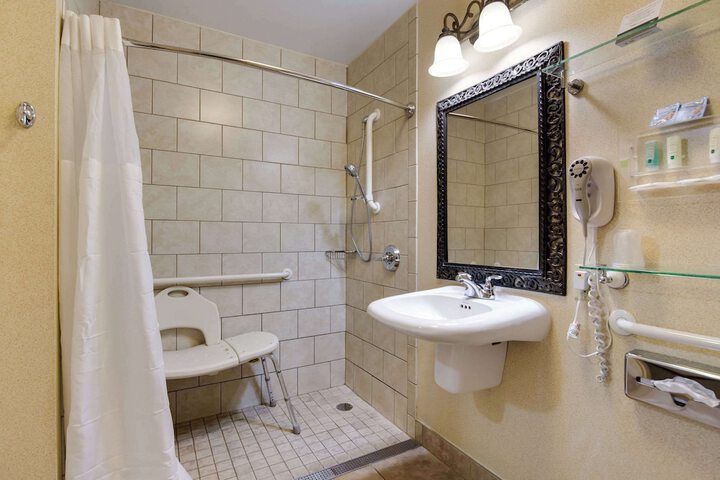1 Queen Bed Accessible (10 of 15)
