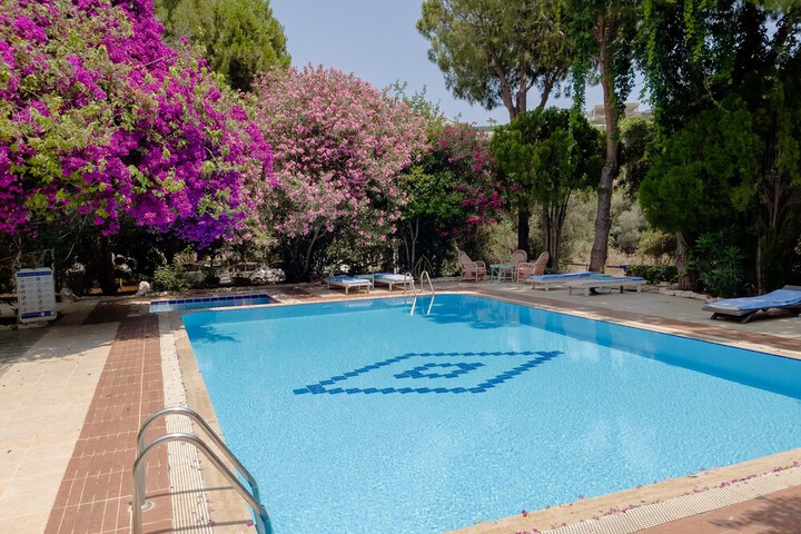 Pool 19 of 37