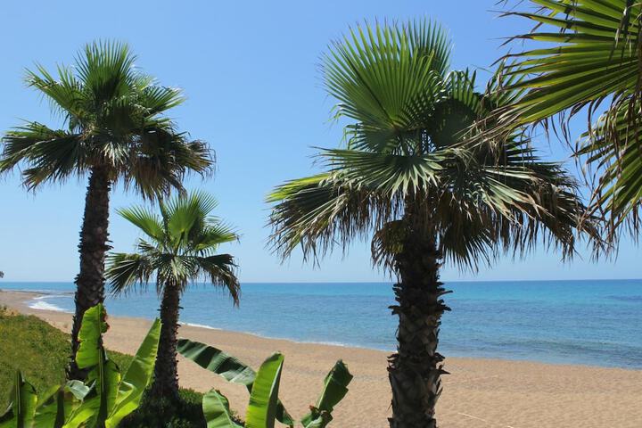 Beach 50 of 53