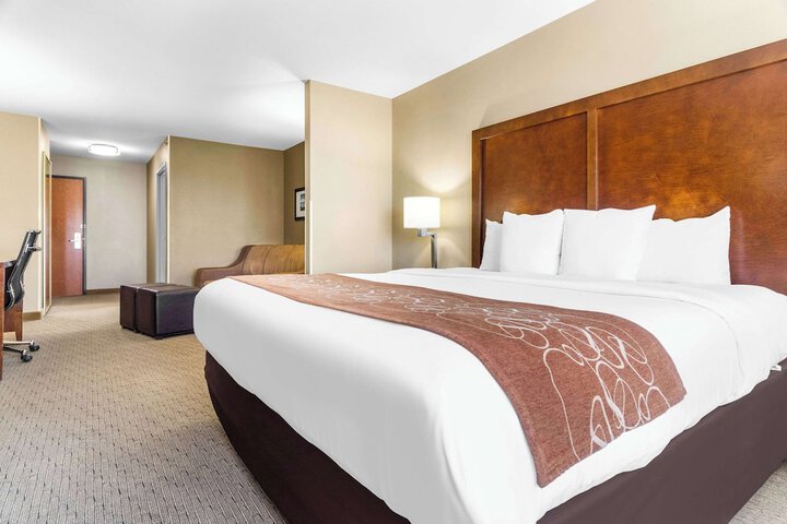 1 King Bed Suite (9 of 26)