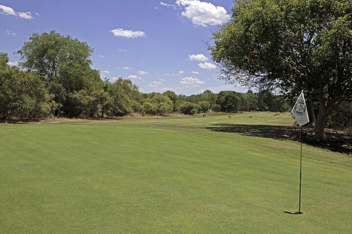 Golf 59 of 92